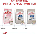 Royal Canin Indoor Adult Dry Cat Food, 7 Lbs. Bag