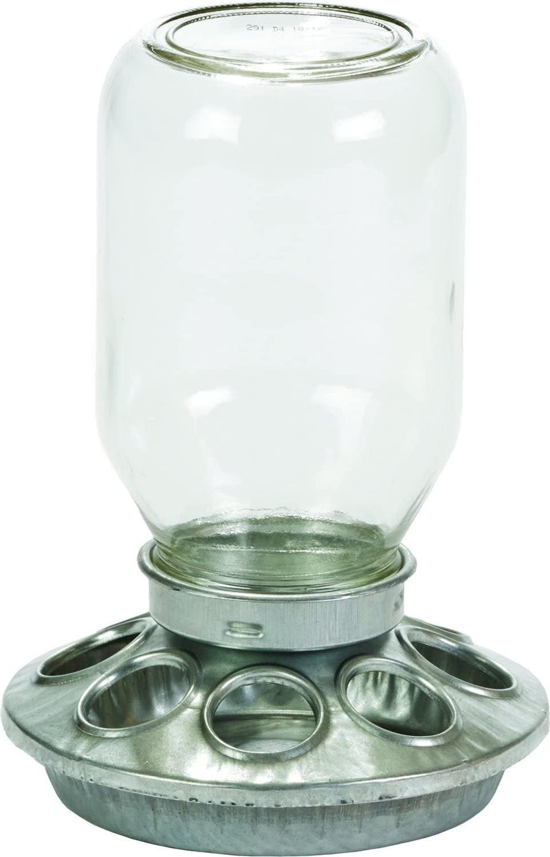 Little Giant Mason Jar Baby Chick Feeder 1 Quart