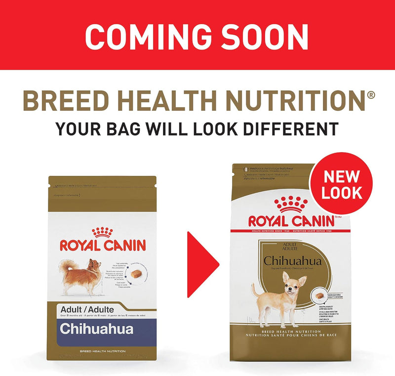 Royal Canin Chihuahua Adult Dry Dog Food, 10 Lbs. Bag