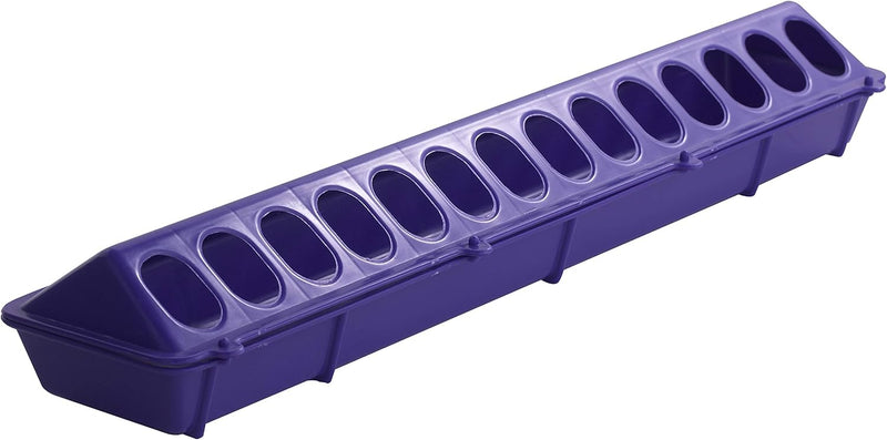 Little Giant Flip-Top Poultry Ground Feeder 20-Inch, Purple