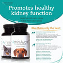 AminAvast Healthy Kidney Function for Cats and Dogs 60 Capsules 1000mg AminAvast