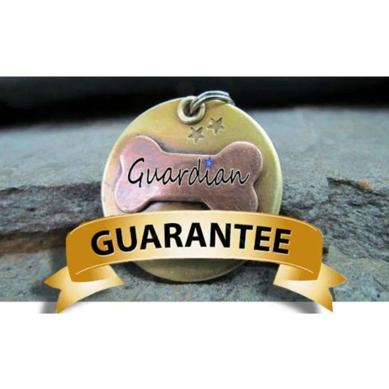 Guardian One Flea Monthly Prevention Cap for Dogs 20-25lbs 13ct Guardian