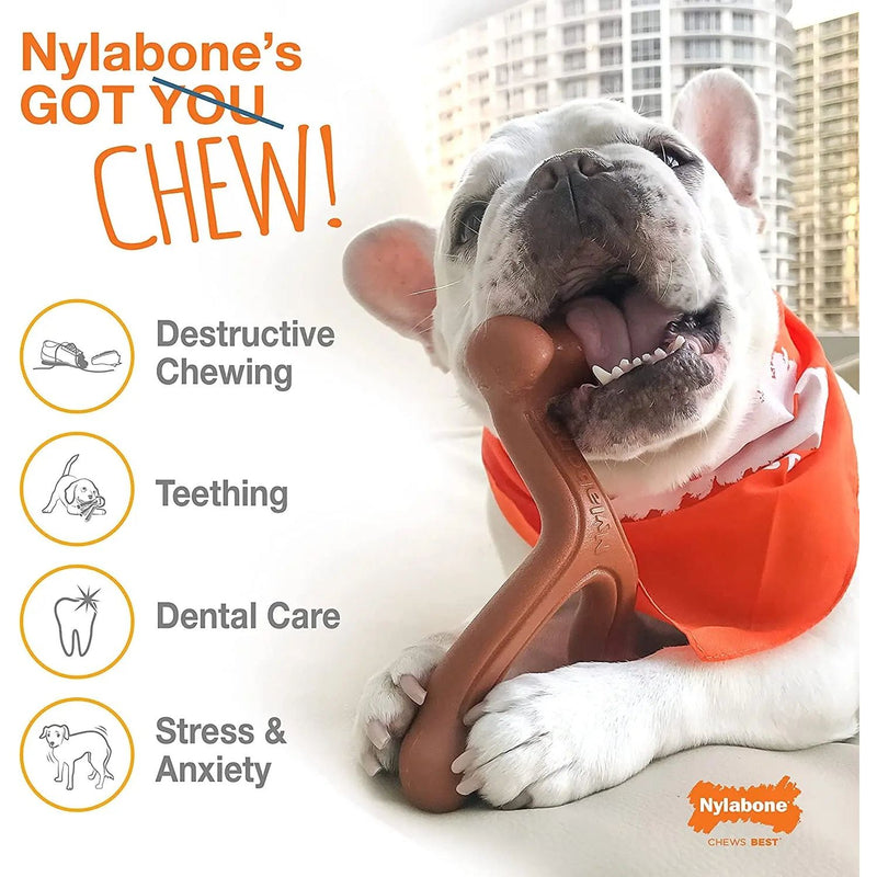 Nylabone Power Chew Textured Dog Ring Toy X-Large/Souper 50lbs.+ Nylabone