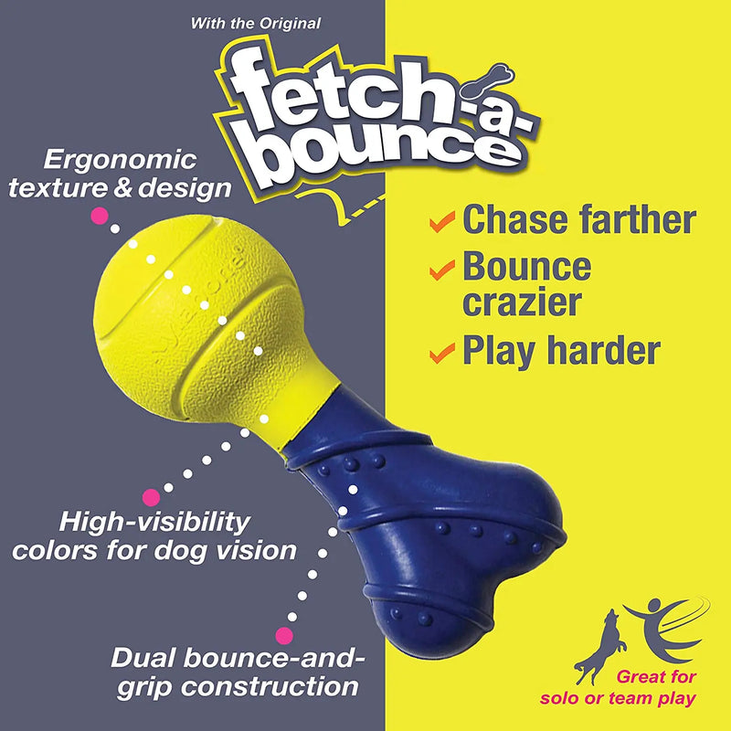 Nylabone Power Play Fetch-A-Bounce Interactive Dog Toy, 5-Inch Nylabone