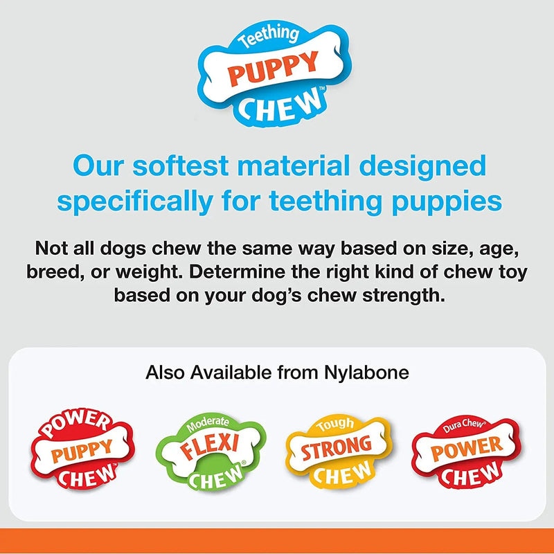 Nylabone Puppy Chew Ring Bone Toy Chicken Flavor, XS/Petite Nylabone