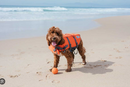 Outward Hound Dog Life Jacket Ripstop Life Jacket Fun, Extra Small