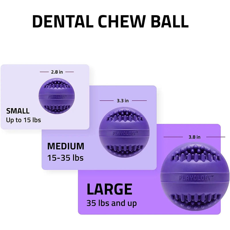 Playology Silver Dental Chew Ball Dog Toy, Large Senior Dogs PLAYOLOGY