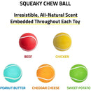 Playology Squeaky Chew Ball Dog Toy Natural Beef Scent, Med/Large PLAYOLOGY