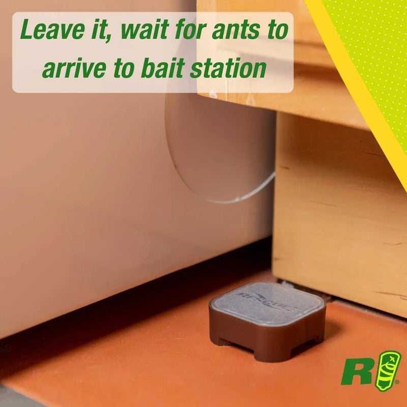 RESCUE! Ant Bait Indoor 4 Bait Stations Rescue!