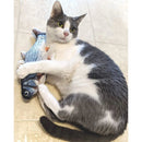 SPOT Flippin' Fish Catnip Toy for Cats with USB Charger 11.5" SPOT