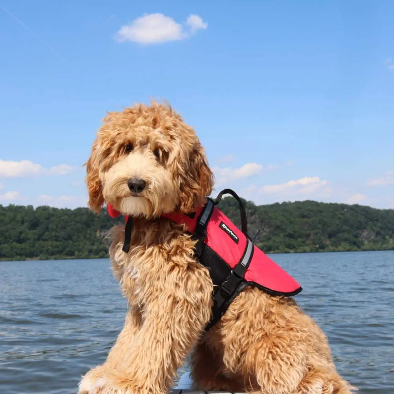 ZippyPaws Adventure Life Jacket for Dogs, Red/Black ZippyPaws