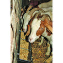 Little Giant Hook Over Goat Trough Feeder 9 Quart Little Giant