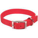 Coastal Pet Products Nylon Double Dog Collar and Double Ply Dog Leash Coastal Pet Products