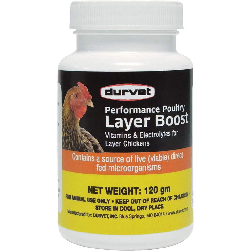 Durvet Healthy Flock Poultry Layer Boost 100gm Durvet