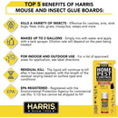 HARRIS Home Pest Control Concentrate, 1 fl. Oz. Harris