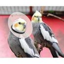 KVP Elizabethan Bird Saf-T E-Collar Avian Cone Neck Collar KVP