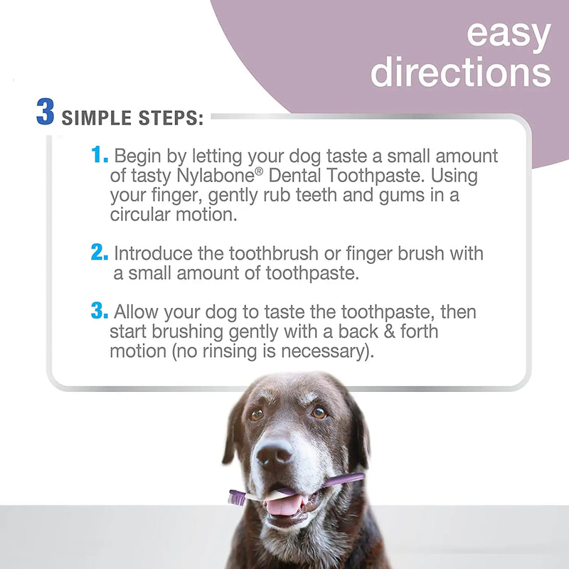 Nylabone Advanced Oral Care Senior Dog Dental Kit Nylabone