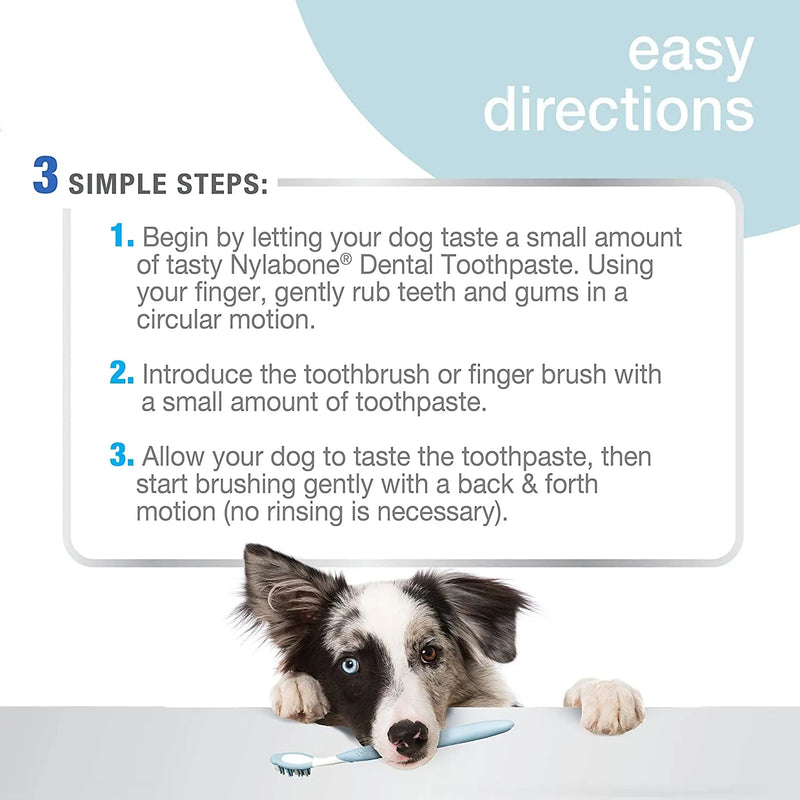 Nylabone Advanced Oral Care Tartar Control Dog Toothpaste 2.5 oz. Nylabone