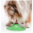 Stashios Soothing Saucer Kit Helps Reduce Dog Stress and Anxiety Stashios