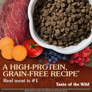 Taste of the Wild High Prairie Canine Recipe Dry Dog Food Diamond Pet Foods