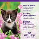 Wellness Complete Health Pâté Kitten Chicken Entrée Canned Wet Cat Food, Single Can Wellness Natural Pet Food