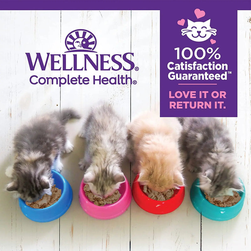 Wellness Complete Health Pâté Kitten Chicken Entrée Canned Wet Cat Food, Single Can Wellness Natural Pet Food