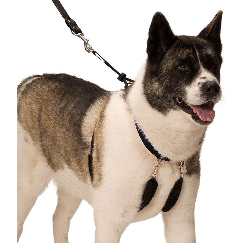 Dog Halter Non-Pull No-Choke Humane Pet Training Halter XL Sporn