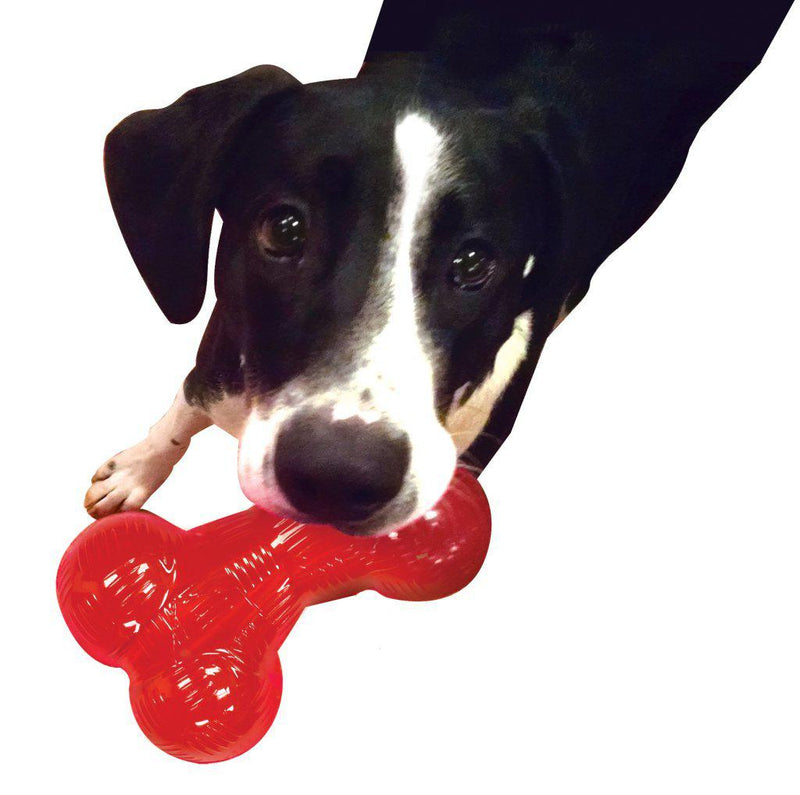 Play Strong Rubber Bone Chew Toy for Dogs Ethical Pets