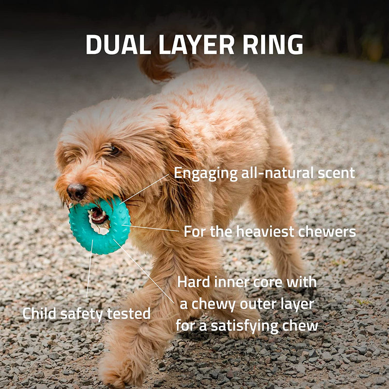 Playology Dual Layer Ring Dog Toy All Natural Beef Scent, Large PLAYOLOGY